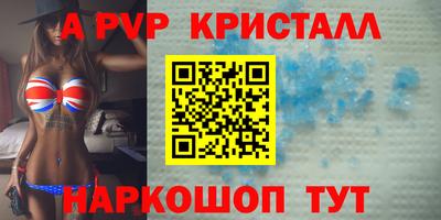 гашик Кингисепп