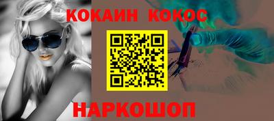 гашик Кингисепп