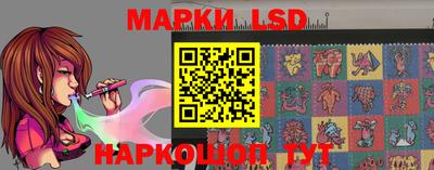 гашик Кингисепп