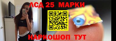гашик Кингисепп