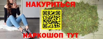 шишки Аргун