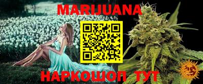 шишки Аргун