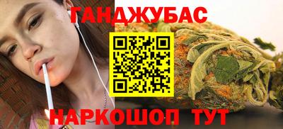 гашик Кингисепп