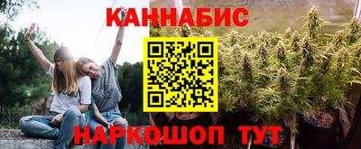 гашик Кингисепп