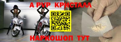 гашик Кингисепп