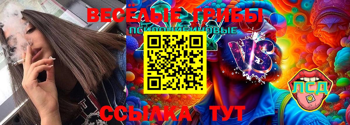 Псилоцибиновые грибы мухоморы  Волоколамск 